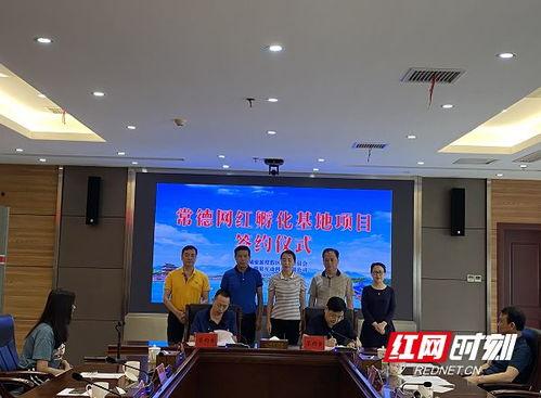 湖南常德网红新闻爆料,揭秘网红背后的惊人真相！  第3张